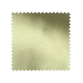 Pistachio Swatch
