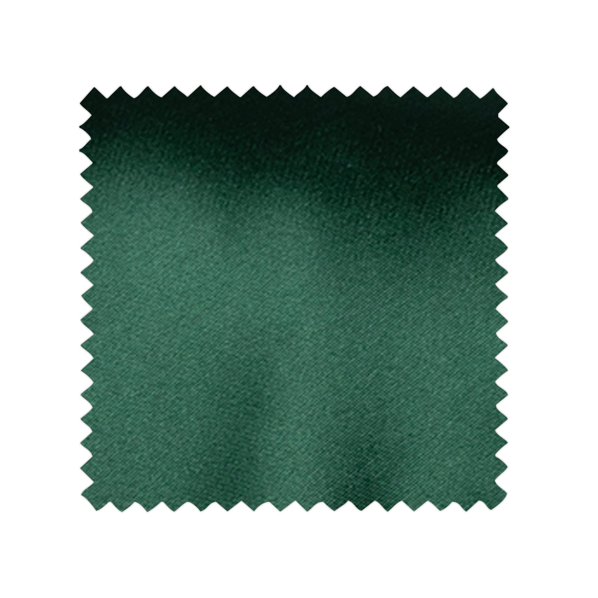 Forest Green Swatch