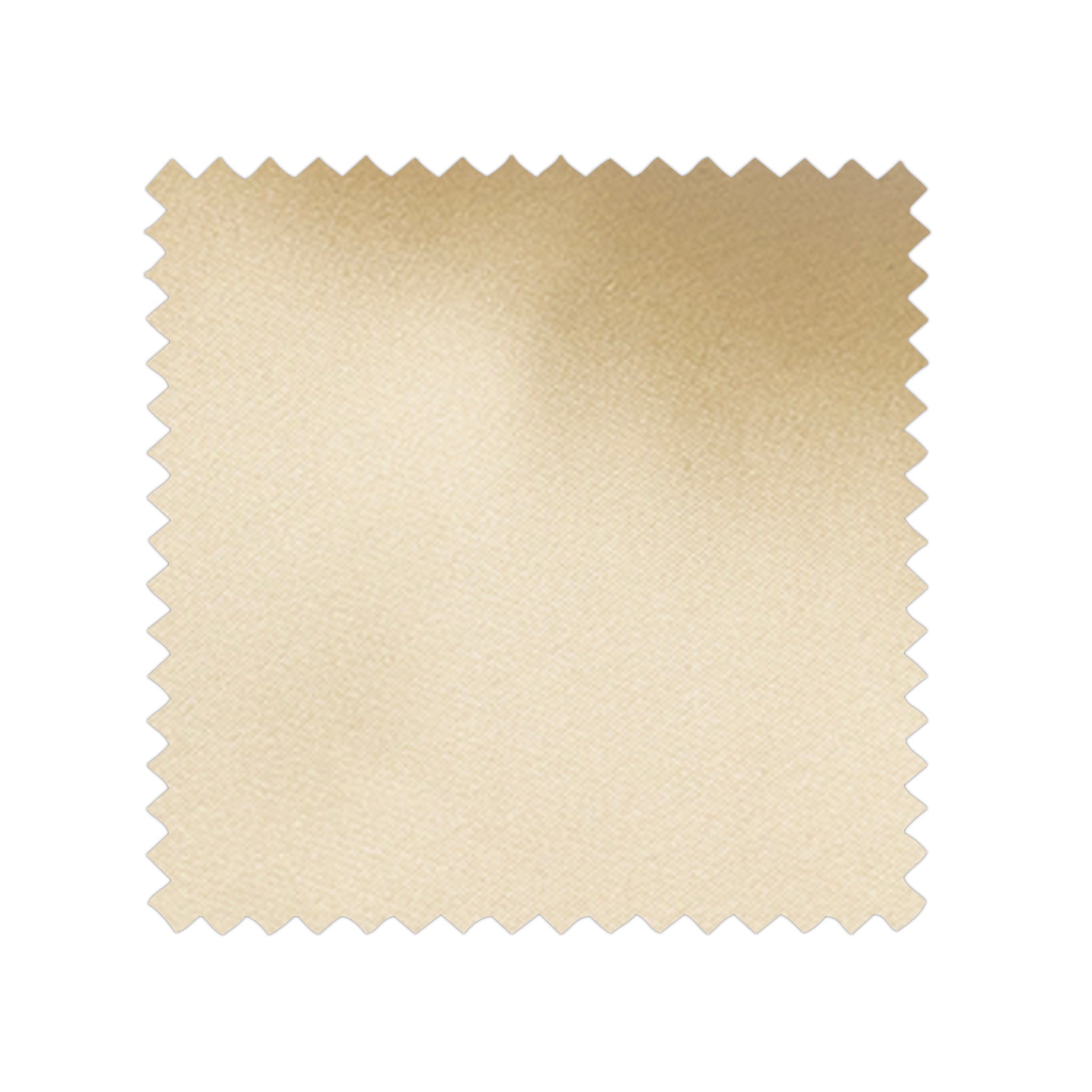 Champagne Swatch